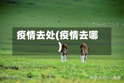 疫情去处(疫情去哪)