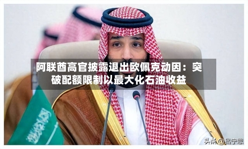 阿联酋高官披露退出欧佩克动因：突破配额限制以最大化石油收益