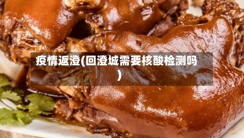 疫情返澄(回澄城需要核酸检测吗)