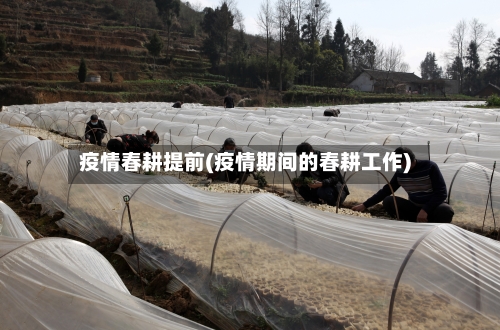 疫情春耕提前(疫情期间的春耕工作)