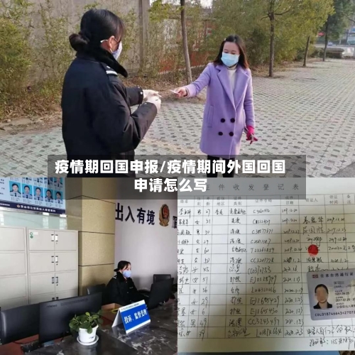 疫情期回国申报/疫情期间外国回国申请怎么写