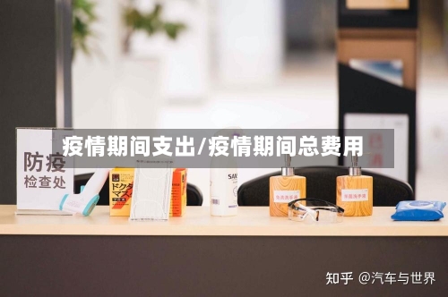疫情期间支出/疫情期间总费用