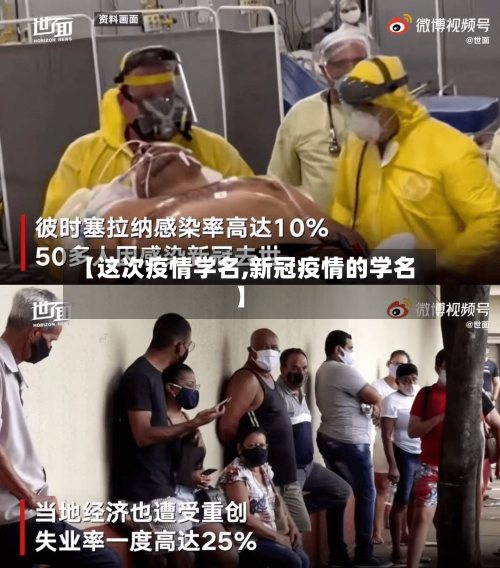 【这次疫情学名,新冠疫情的学名】