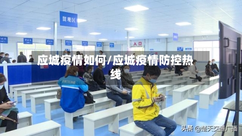 应城疫情如何/应城疫情防控热线