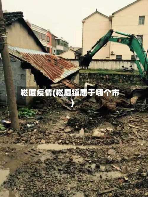 崧厦疫情(崧厦镇属于哪个市)