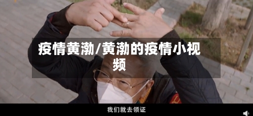 疫情黄渤/黄渤的疫情小视频