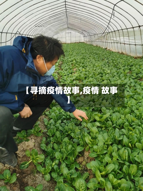 【寻摘疫情故事,疫情 故事】