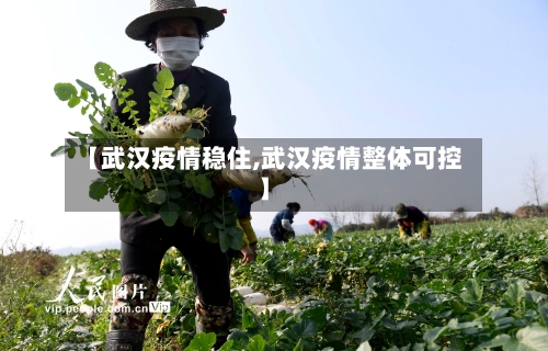 【武汉疫情稳住,武汉疫情整体可控】