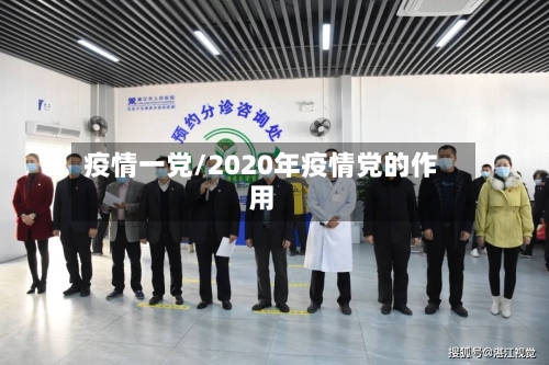 疫情一党/2020年疫情党的作用
