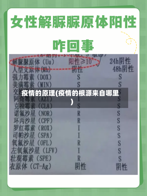 疫情的原理(疫情的根源来自哪里)