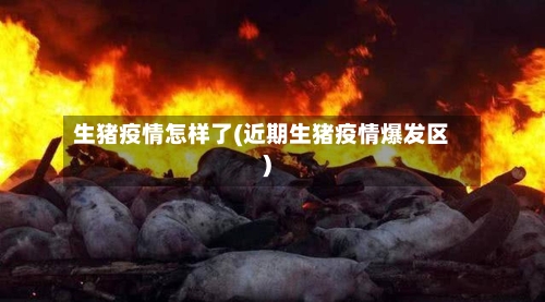 生猪疫情怎样了(近期生猪疫情爆发区)
