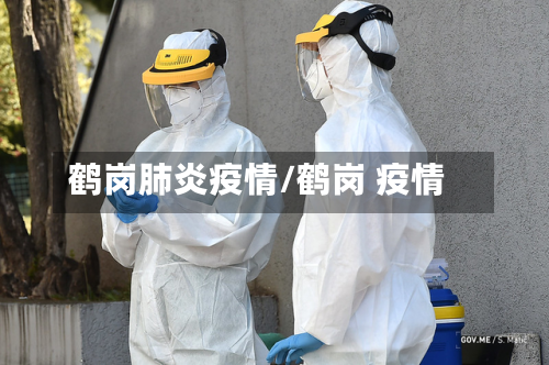 鹤岗肺炎疫情/鹤岗 疫情