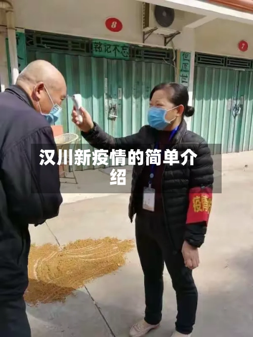 汉川新疫情的简单介绍