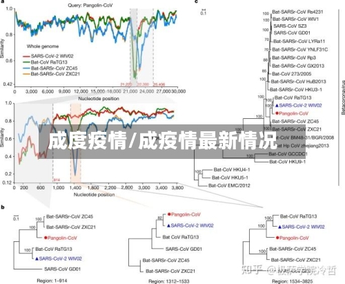 成度疫情/成疫情最新情况