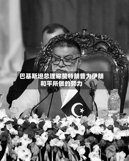 巴基斯坦总理称赞特朗普为伊朗和平所做的努力