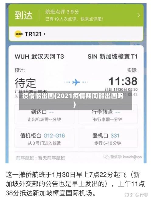 疫情能出国(2021疫情期间能出国吗)