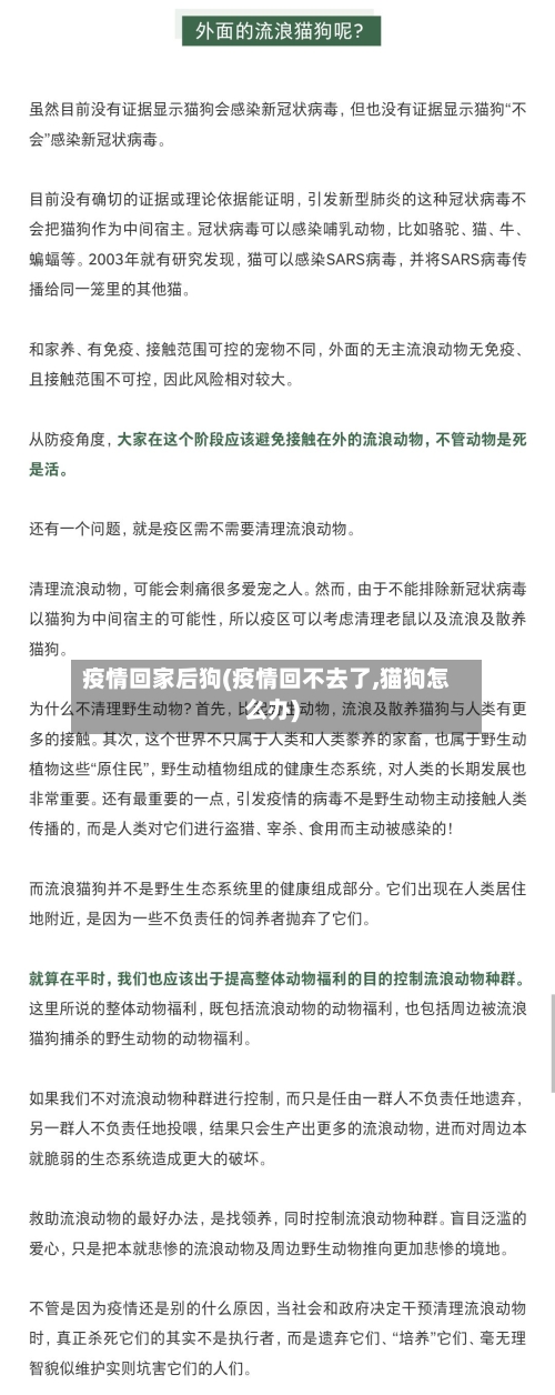 疫情回家后狗(疫情回不去了,猫狗怎么办)