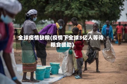 全球疫情缺粮(疫情下全球3亿人等待粮食援助)
