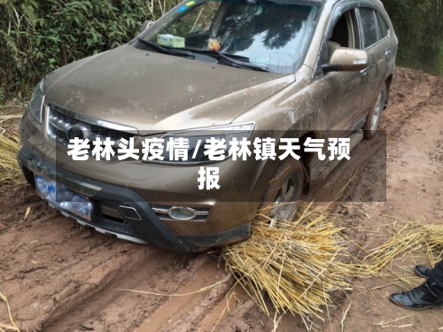老林头疫情/老林镇天气预报