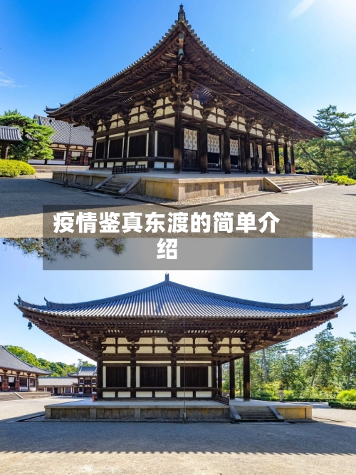 疫情鉴真东渡的简单介绍