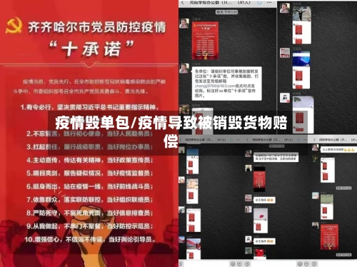 疫情毁单包/疫情导致被销毁货物赔偿