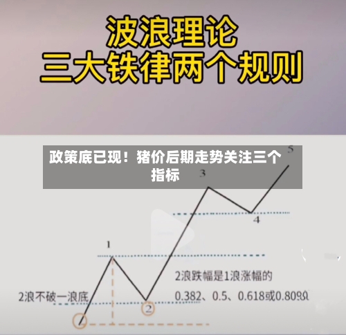 政策底已现！猪价后期走势关注三个指标