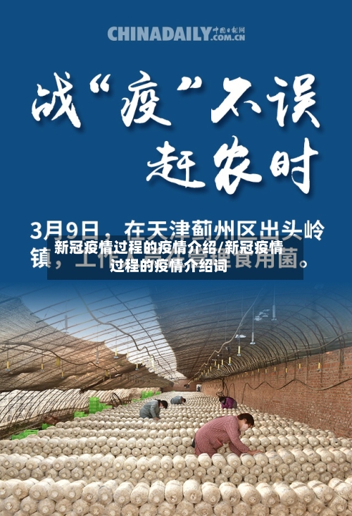 新冠疫情过程的疫情介绍/新冠疫情过程的疫情介绍词