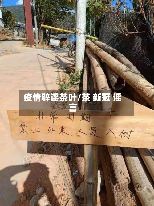疫情辟谣茶叶/茶 新冠 谣言