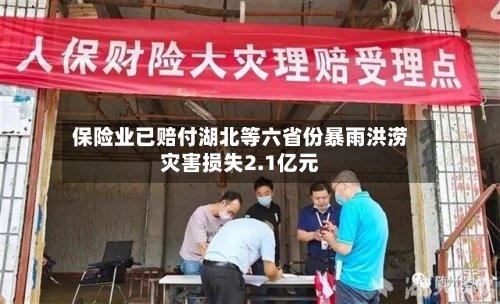 保险业已赔付湖北等六省份暴雨洪涝灾害损失2.1亿元