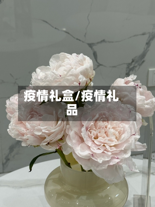 疫情礼盒/疫情礼品