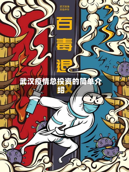 武汉疫情总投资的简单介绍