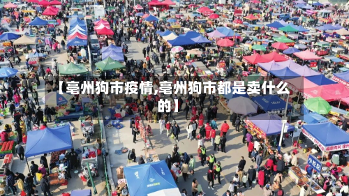 【亳州狗市疫情,亳州狗市都是卖什么的】