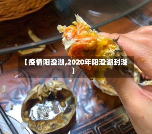 【疫情阳澄湖,2020年阳澄湖封湖】