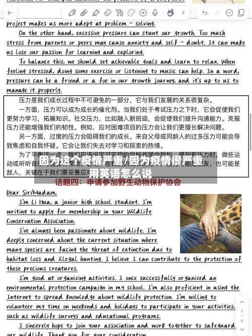 因为这个疫情严重/因为疫情很严重用英语怎么说