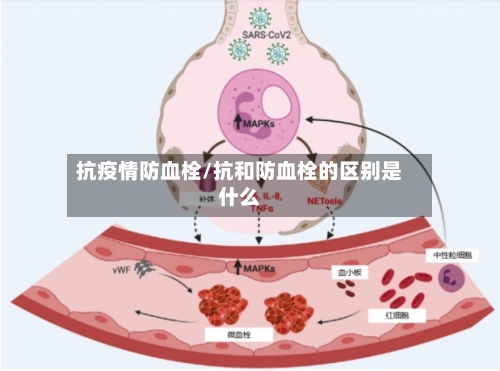 抗疫情防血栓/抗和防血栓的区别是什么