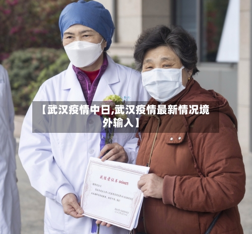 【武汉疫情中日,武汉疫情最新情况境外输入】