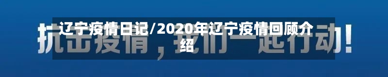 辽宁疫情日记/2020年辽宁疫情回顾介绍