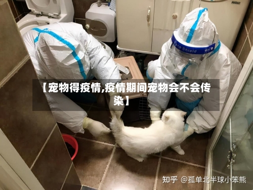 【宠物得疫情,疫情期间宠物会不会传染】