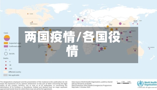 两国疫情/各国役情