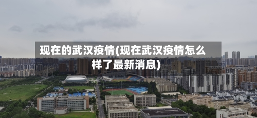 现在的武汉疫情(现在武汉疫情怎么样了最新消息)
