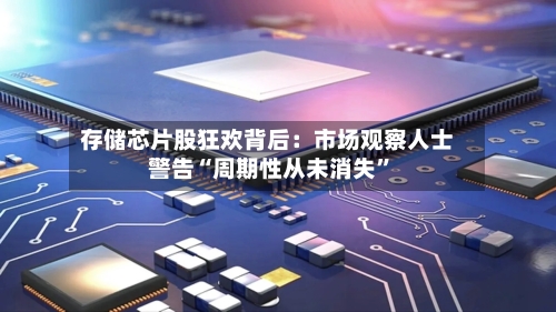 存储芯片股狂欢背后：市场观察人士警告“周期性从未消失”