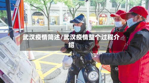 武汉疫情简述/武汉疫情整个过程介绍
