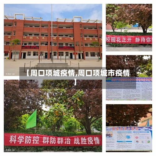 【周口项城疫情,周口项城市疫情】