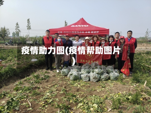 疫情助力图(疫情帮助图片)