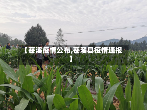 【苍溪疫情公布,苍溪县疫情通报】