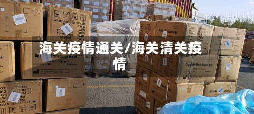 海关疫情通关/海关清关疫情