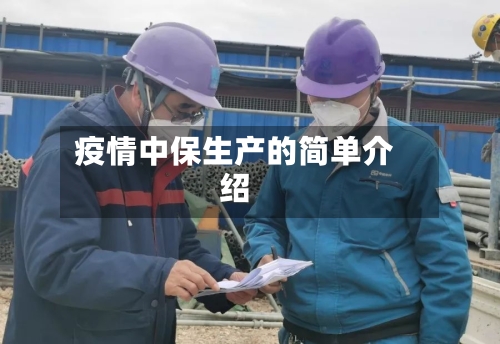 疫情中保生产的简单介绍