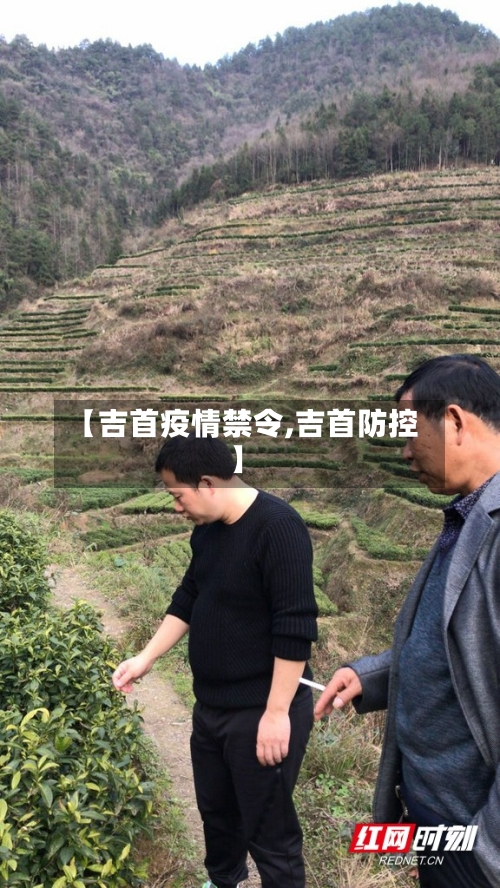 【吉首疫情禁令,吉首防控】