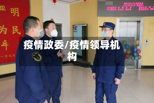 疫情政委/疫情领导机构