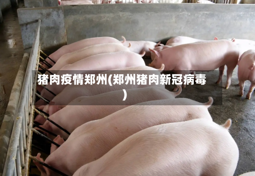 猪肉疫情郑州(郑州猪肉新冠病毒)